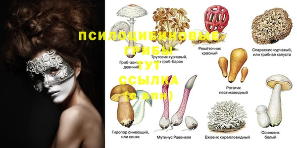 соль курить ск Алексин