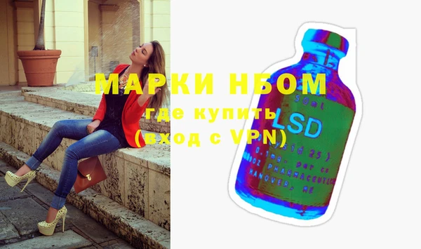 прущие грибы Ладушкин